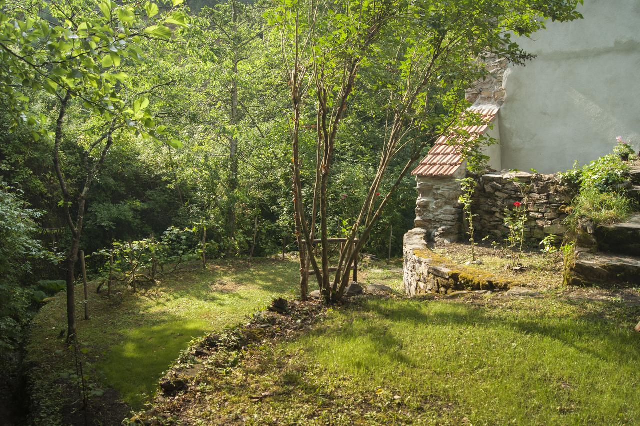 Bed and Breakfast Secret Gardens Borgomaro Екстер'єр фото
